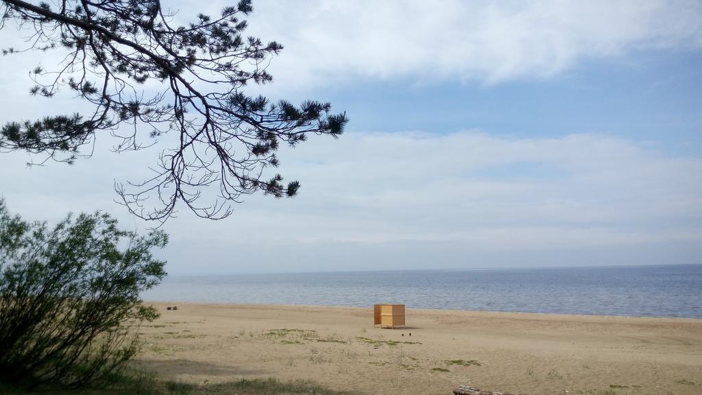 Koidula Holiday Home 나르바죠수 외부 사진